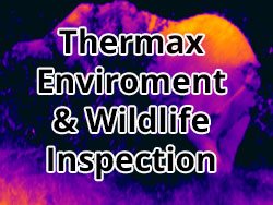 Enviroment and Wildlife